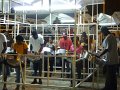 16_steel band
